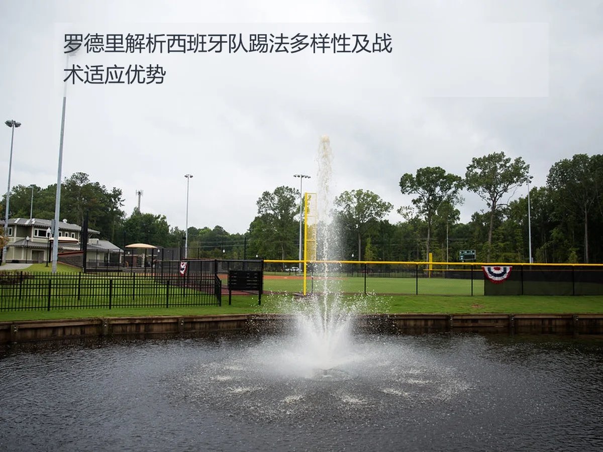 罗德里解析西班牙队踢法多样性及战术适应优势